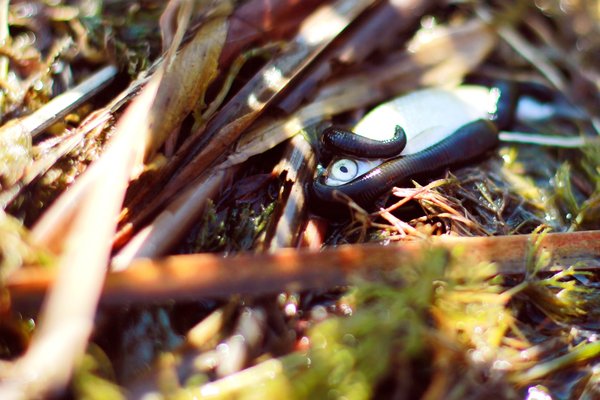 Comment un jeu de survie post-apocalyptique peut-il intégrer des leçons sur la préparation aux catastrophes naturelles?